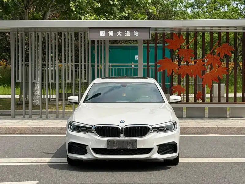 2020 BMW 5 Series 530Li Luxury M Sport Package — миниатюра 2