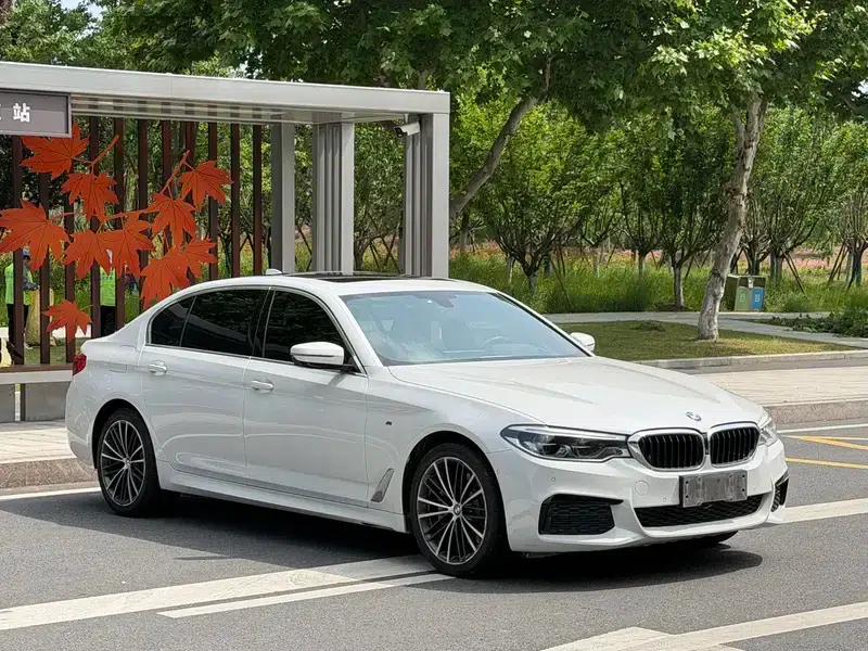 2020 BMW 5 Series 530Li Luxury M Sport Package — миниатюра 3