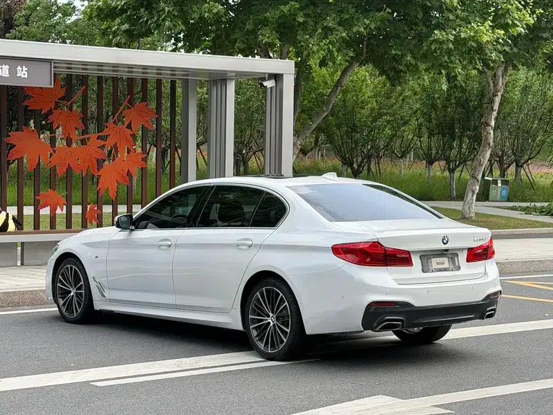2020 BMW 5 Series 530Li Luxury M Sport Package — миниатюра 4