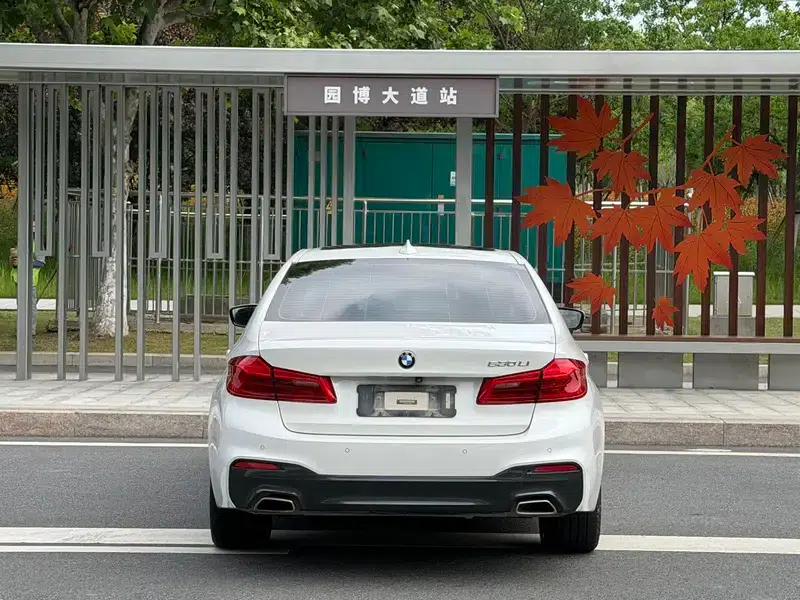2020 BMW 5 Series 530Li Luxury M Sport Package — миниатюра 5