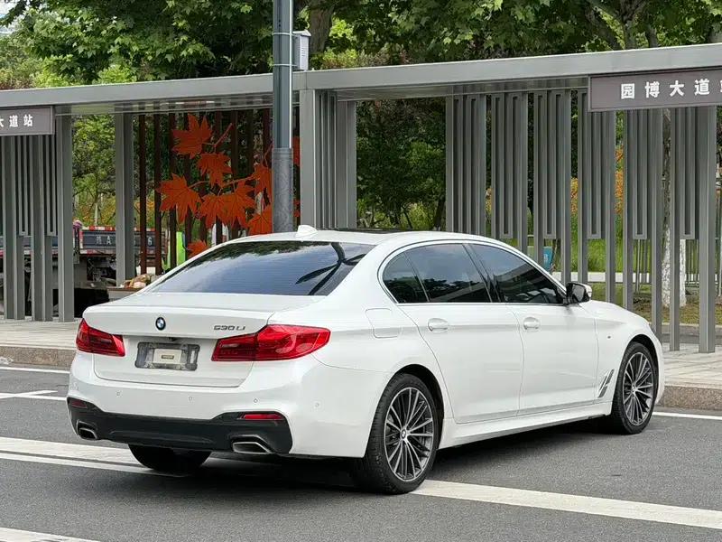 2020 BMW 5 Series 530Li Luxury M Sport Package — миниатюра 6