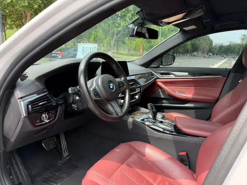 2020 BMW 5 Series 530Li Luxury M Sport Package — миниатюра 8