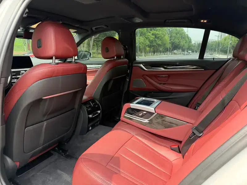 2020 BMW 5 Series 530Li Luxury M Sport Package — миниатюра 9