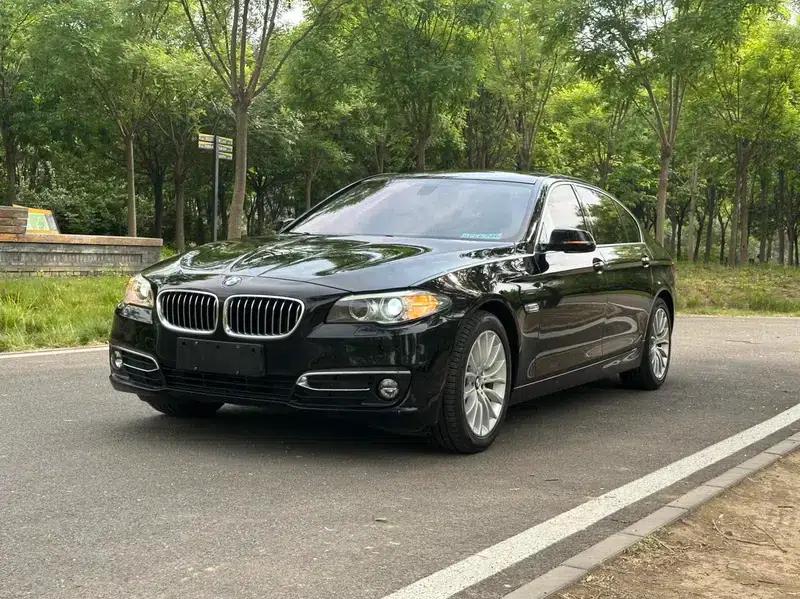 2014 BMW 5 Series 525Li Luxury Design Package — миниатюра 1