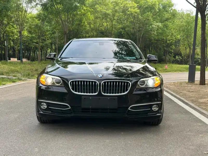 2014 BMW 5 Series 525Li Luxury Design Package — миниатюра 2
