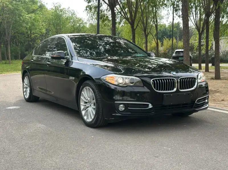 2014 BMW 5 Series 525Li Luxury Design Package — миниатюра 3