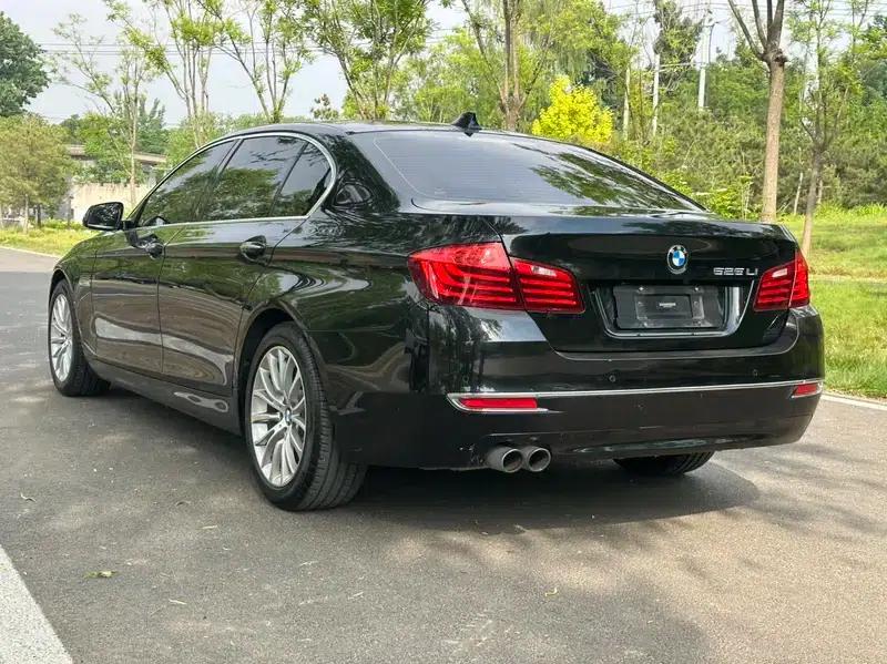 2014 BMW 5 Series 525Li Luxury Design Package — миниатюра 4