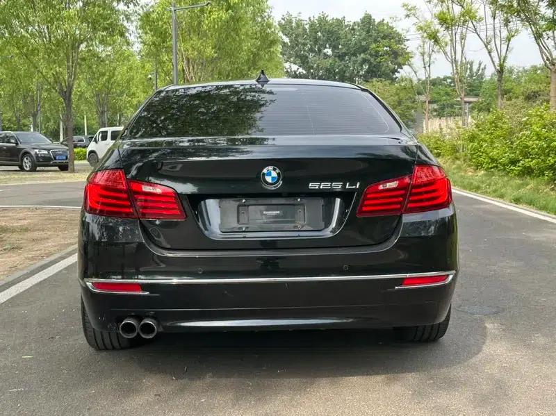 2014 BMW 5 Series 525Li Luxury Design Package — миниатюра 5