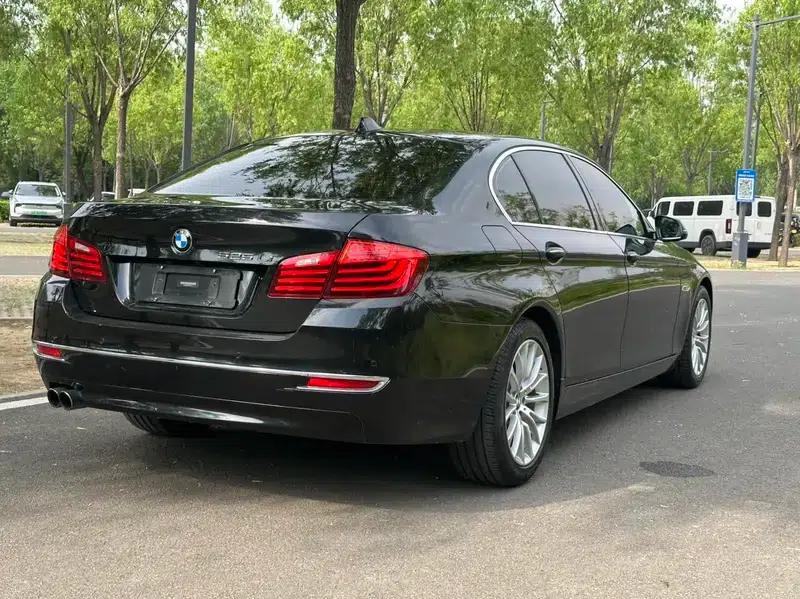 2014 BMW 5 Series 525Li Luxury Design Package — миниатюра 6