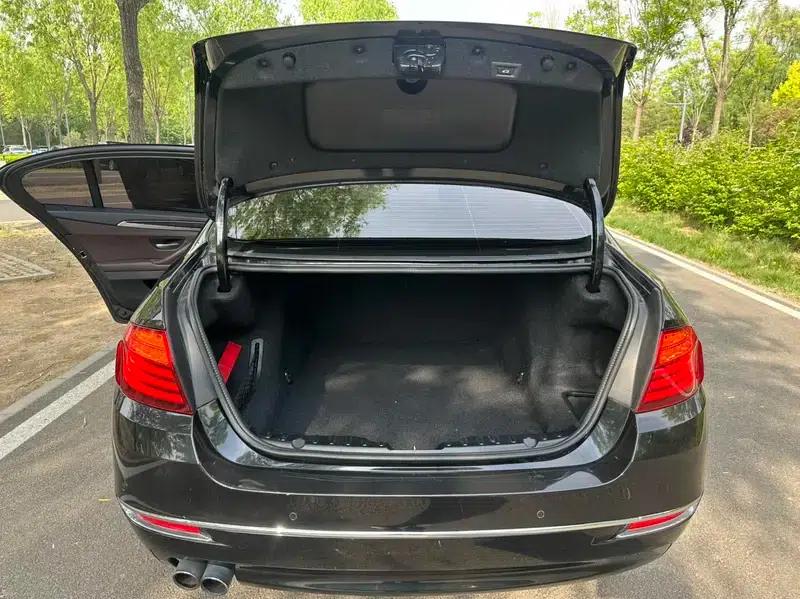 2014 BMW 5 Series 525Li Luxury Design Package — миниатюра 9