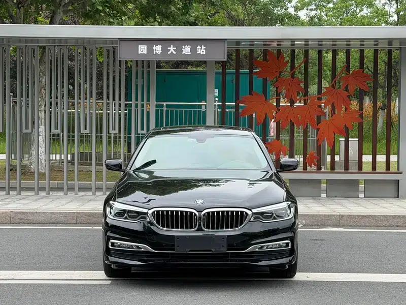 2018 BMW 5 Series Facelift 530Li Luxury Package — миниатюра 2