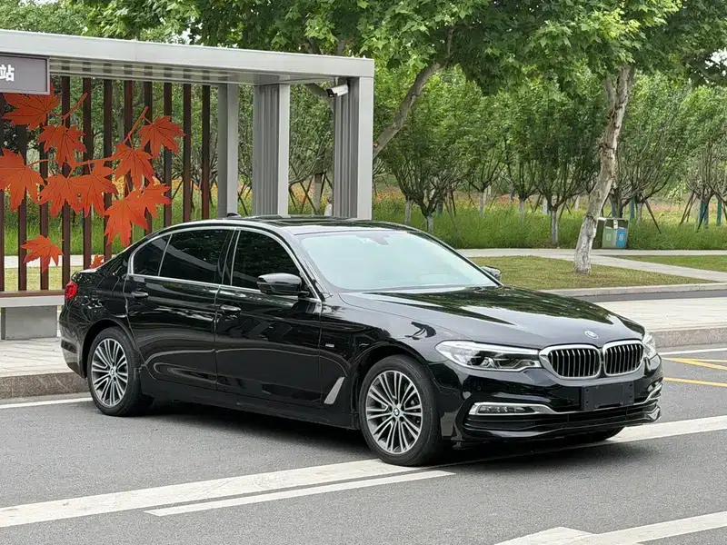 2018 BMW 5 Series Facelift 530Li Luxury Package — миниатюра 3