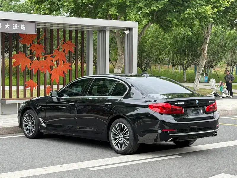 2018 BMW 5 Series Facelift 530Li Luxury Package — миниатюра 4