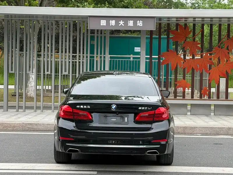 2018 BMW 5 Series Facelift 530Li Luxury Package — миниатюра 5