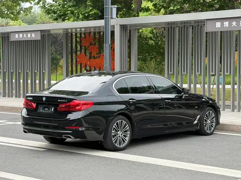2018 BMW 5 Series Facelift 530Li Luxury Package — миниатюра 6