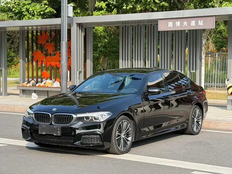 2019 BMW 5 Series Facelift 530Li Leading Edition M Sport Package — миниатюра 1