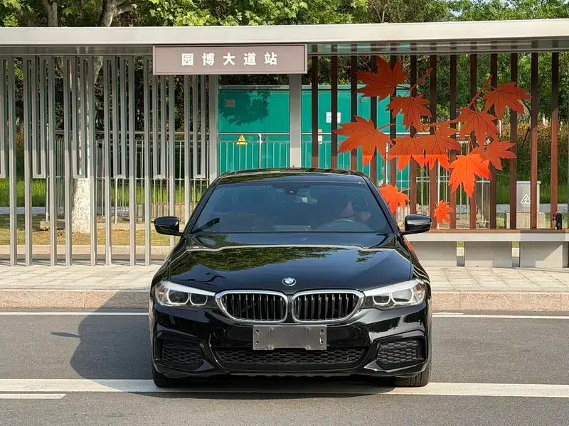 2019 BMW 5 Series Facelift 530Li Leading Edition M Sport Package — миниатюра 2