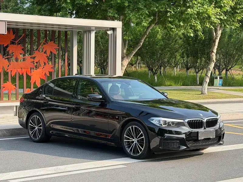 2019 BMW 5 Series Facelift 530Li Leading Edition M Sport Package — миниатюра 3