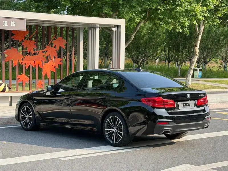 2019 BMW 5 Series Facelift 530Li Leading Edition M Sport Package — миниатюра 4