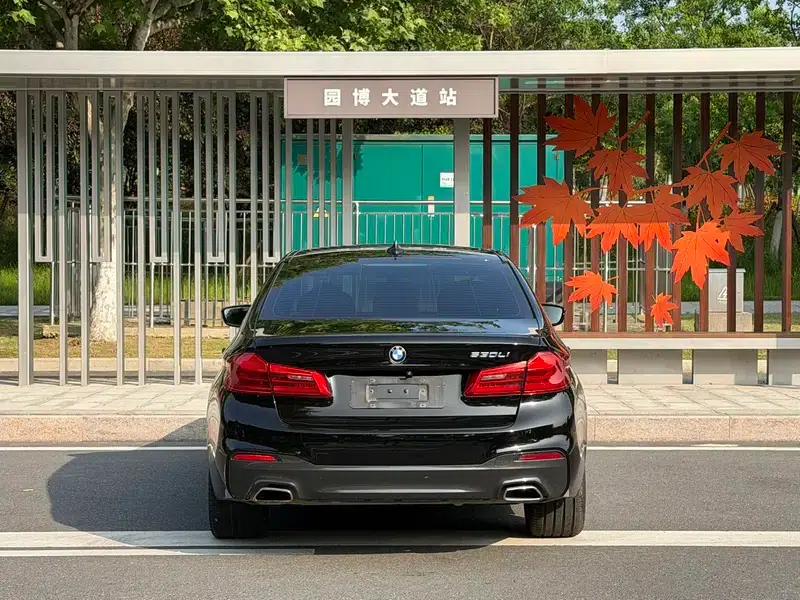 2019 BMW 5 Series Facelift 530Li Leading Edition M Sport Package — миниатюра 5