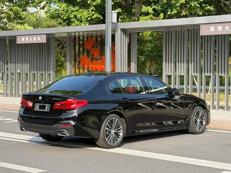 2019 BMW 5 Series Facelift 530Li Leading Edition M Sport Package — миниатюра 6