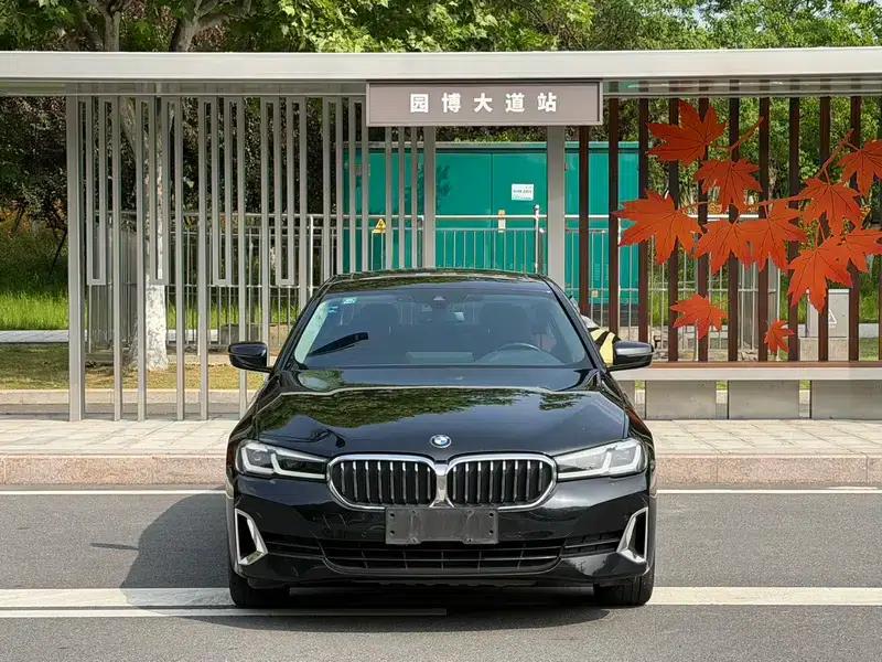 BMW 5 Series 2021 Facelift 530Li Leading Luxury Package — миниатюра 2