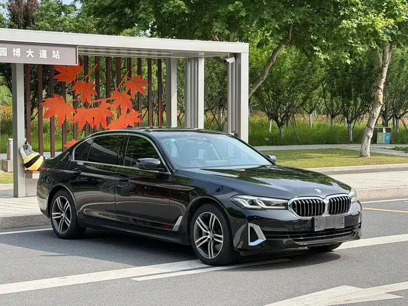 BMW 5 Series 2021 Facelift 530Li Leading Luxury Package — миниатюра 3