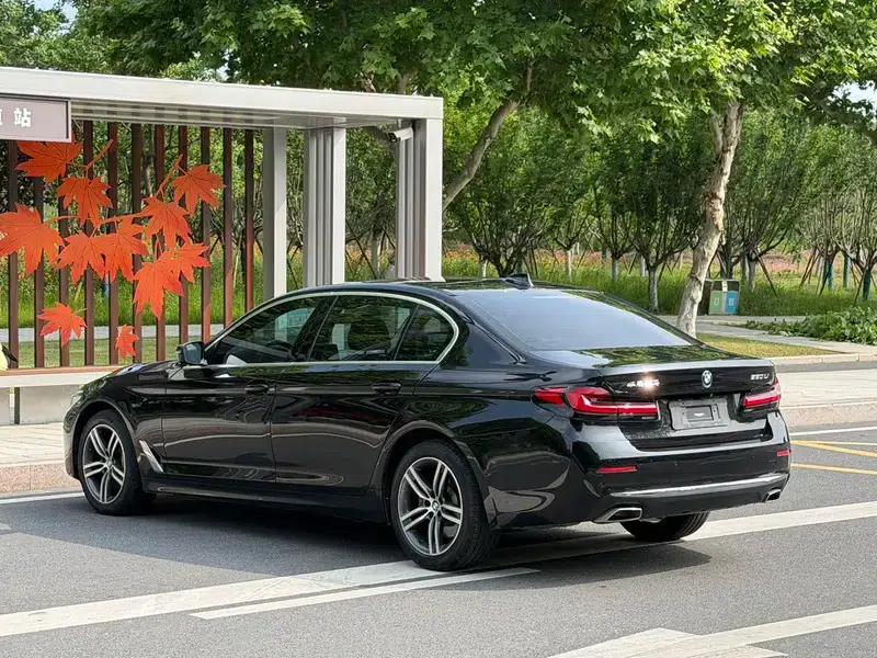 BMW 5 Series 2021 Facelift 530Li Leading Luxury Package — миниатюра 4