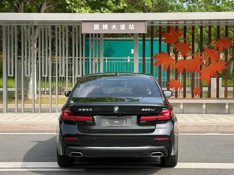 BMW 5 Series 2021 Facelift 530Li Leading Luxury Package — миниатюра 5