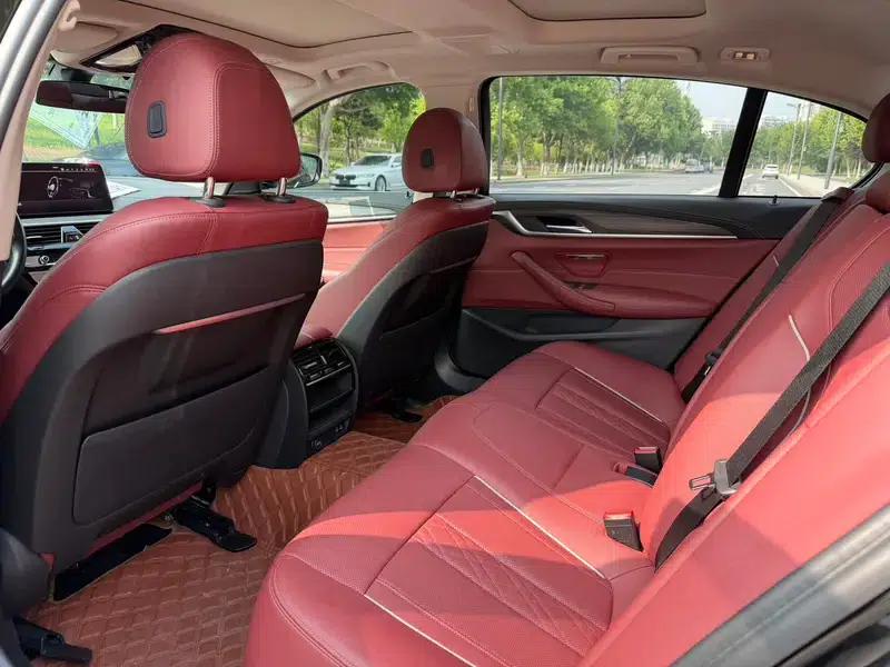 BMW 5 Series 2021 Facelift 530Li Leading Luxury Package — миниатюра 9