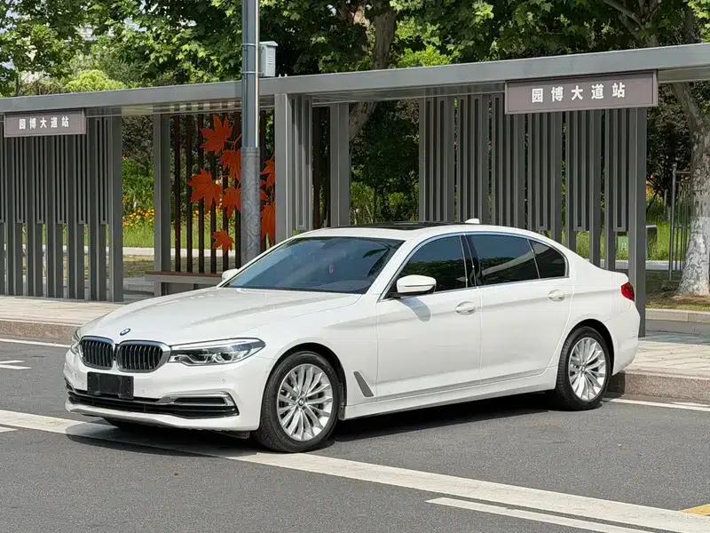 BMW 5 Series 2020 530Li Luxury Package — миниатюра 1