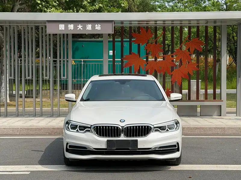 BMW 5 Series 2020 530Li Luxury Package — миниатюра 2