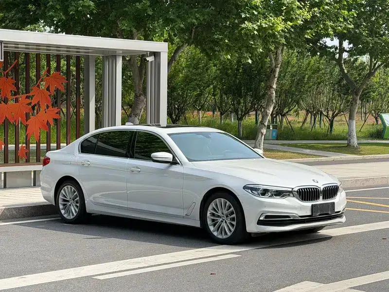 BMW 5 Series 2020 530Li Luxury Package — миниатюра 3