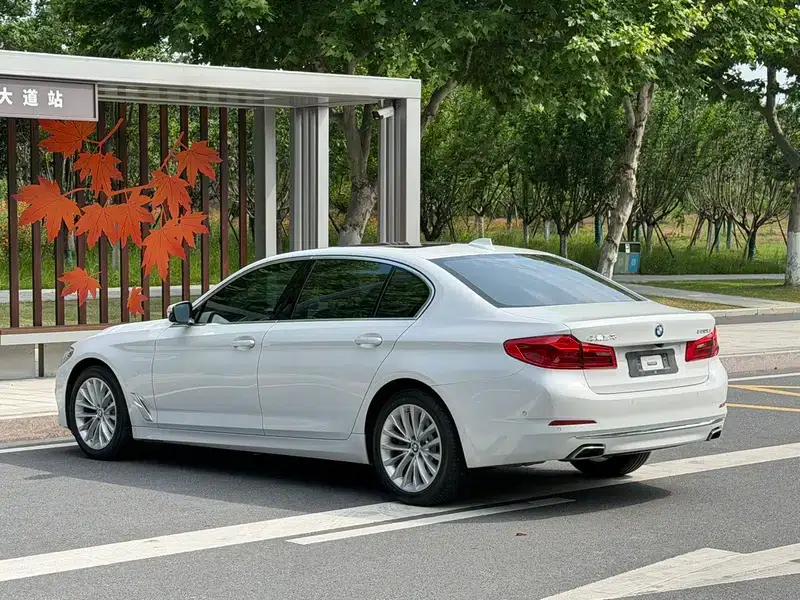 BMW 5 Series 2020 530Li Luxury Package — миниатюра 4