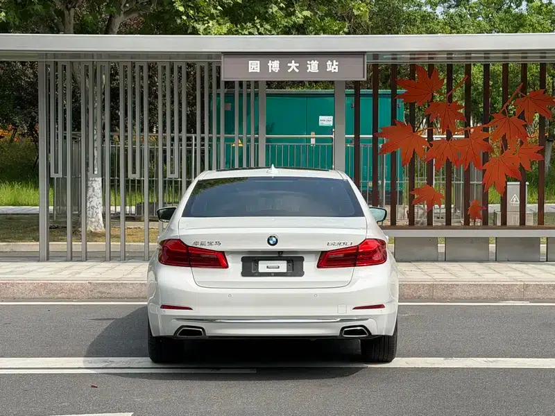 BMW 5 Series 2020 530Li Luxury Package — миниатюра 5