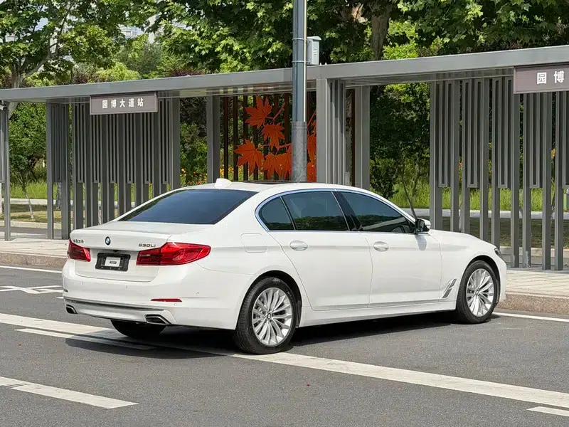 BMW 5 Series 2020 530Li Luxury Package — миниатюра 6