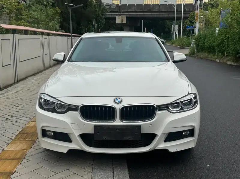 2017 BMW 3 Series 320Li M Sport — миниатюра 2