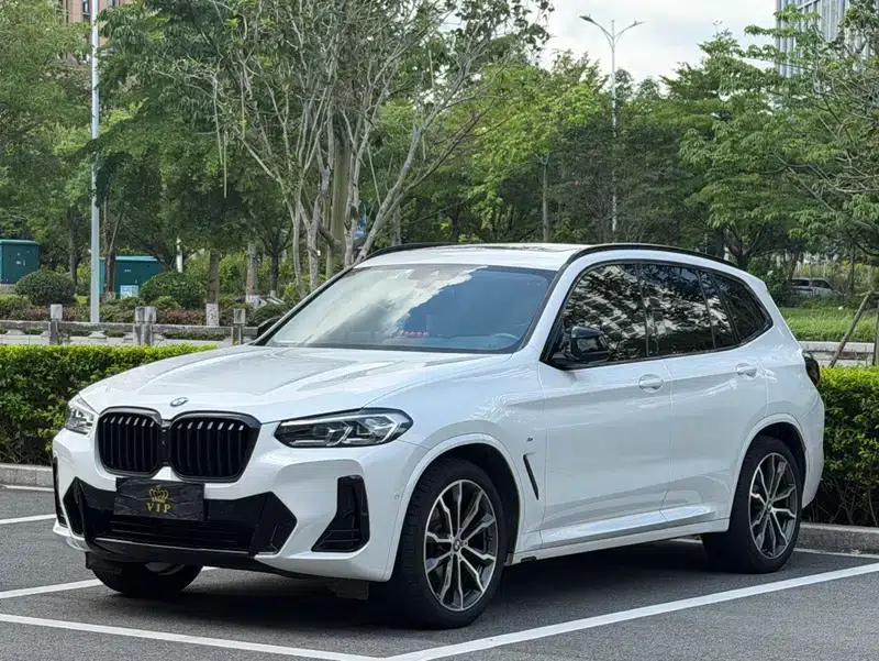 BMW X3 2023 xDrive30i Leading Edition M Sport Package — миниатюра 1