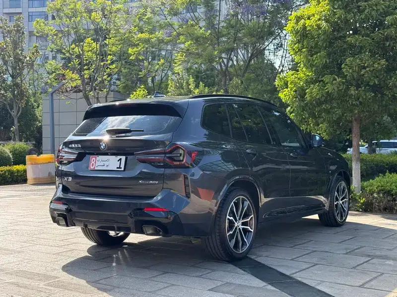 BMW X3 2022 xDrive30i Leading Edition M Sport Package — миниатюра 7