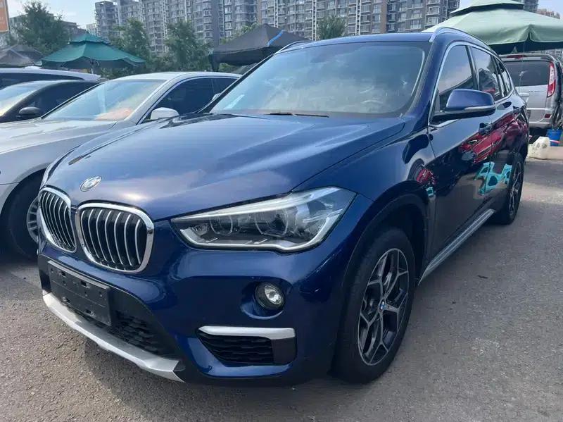 BMW X1 2018 xDrive20Li Luxury — миниатюра 1
