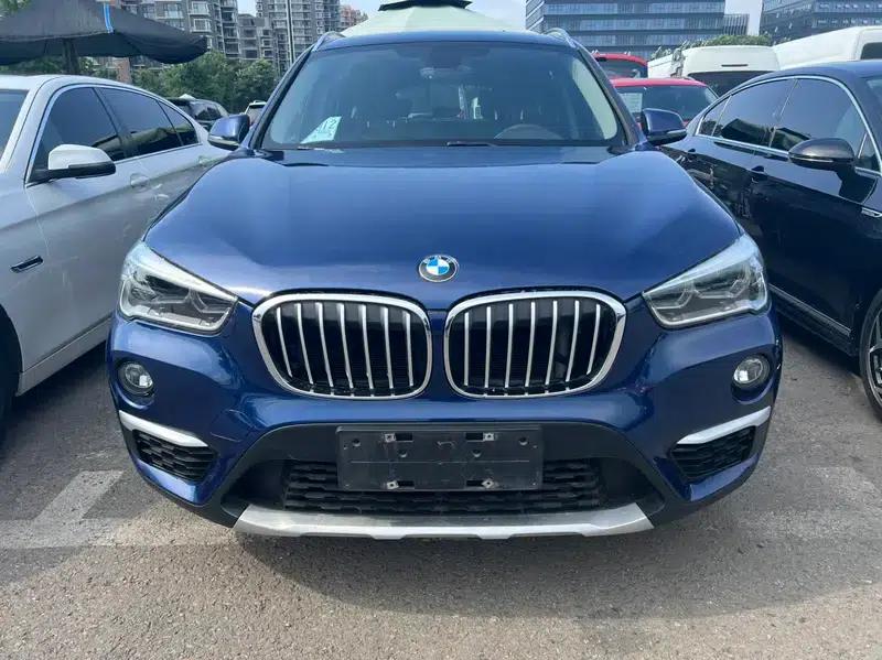 BMW X1 2018 xDrive20Li Luxury — миниатюра 2