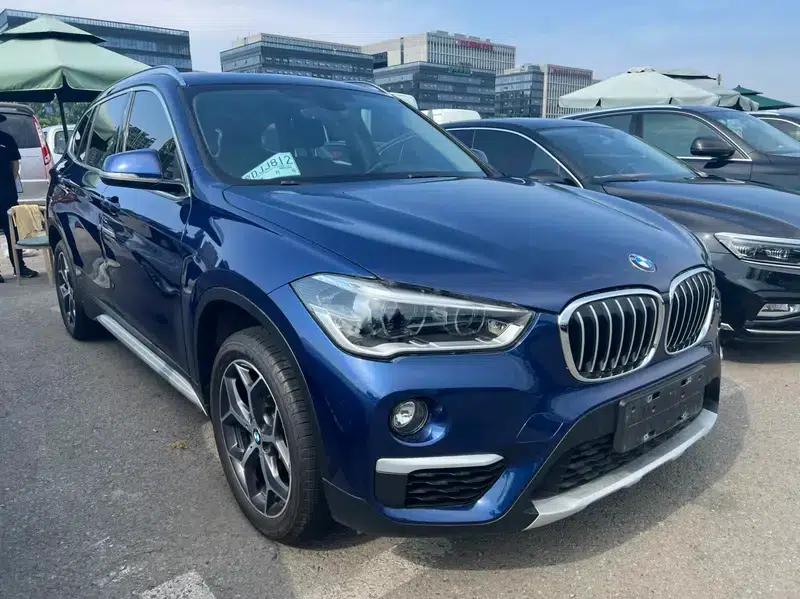 BMW X1 2018 xDrive20Li Luxury — миниатюра 3