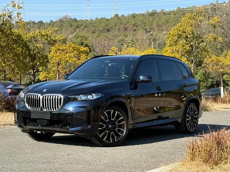 2023 BMW X5 xDrive40Li M Sport Shadow Edition — миниатюра 1