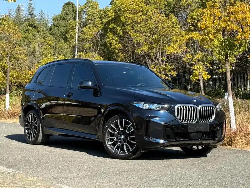 2023 BMW X5 xDrive40Li M Sport Shadow Edition — миниатюра 3