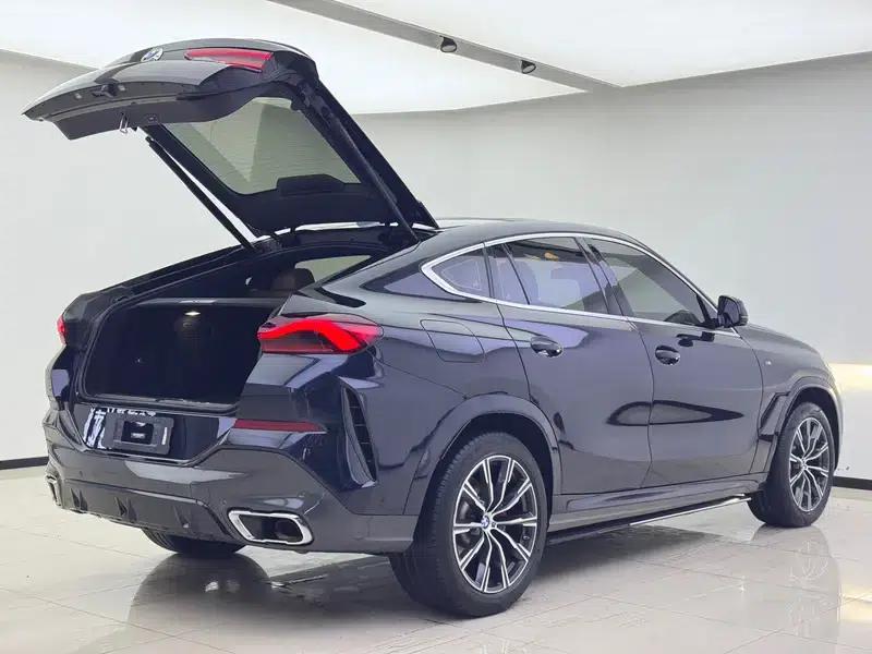 2020 BMW X6 xDrive30i M Sport Package — миниатюра 8