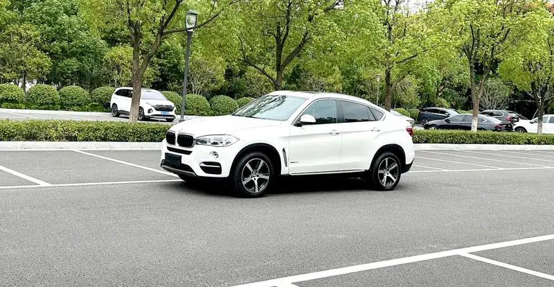 BMW X6 2015 xDrive35i Luxury — миниатюра 1