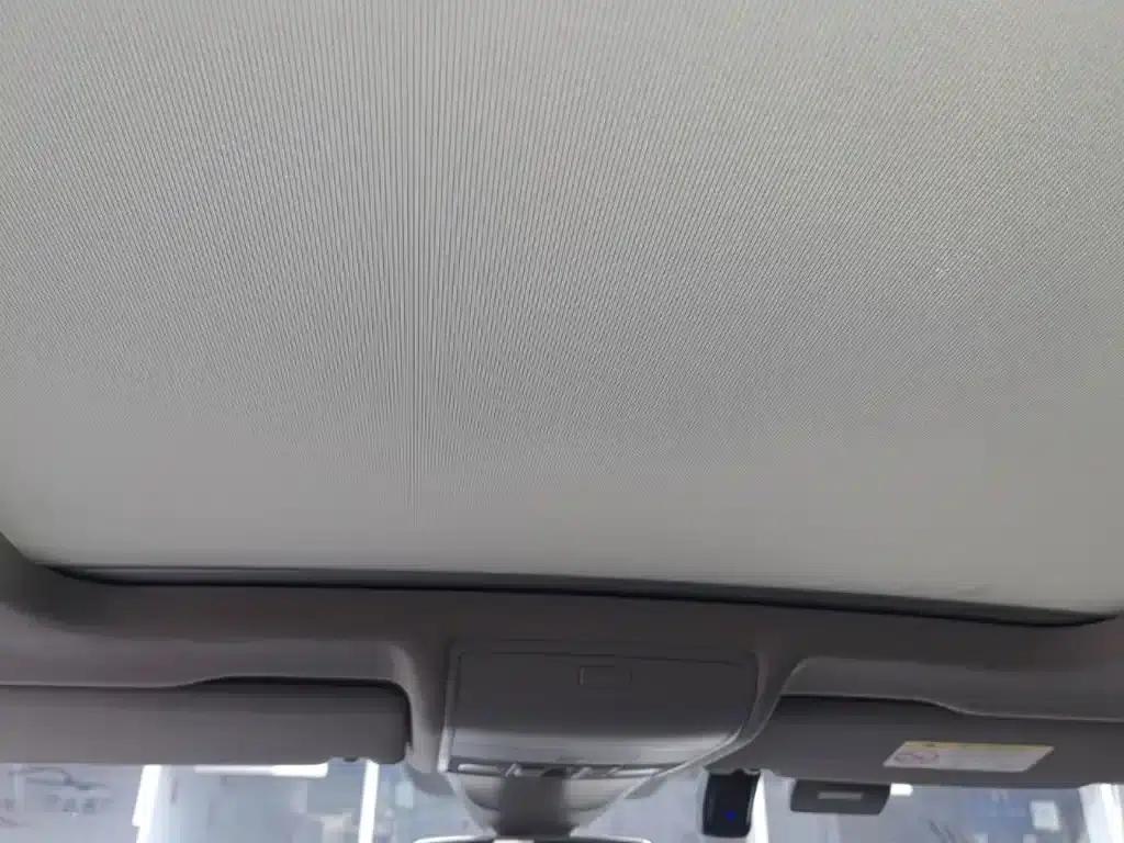 Tiguan L Plug-in Hybrid 2019 430PHEV Hybrid Flagship Edition — миниатюра 18