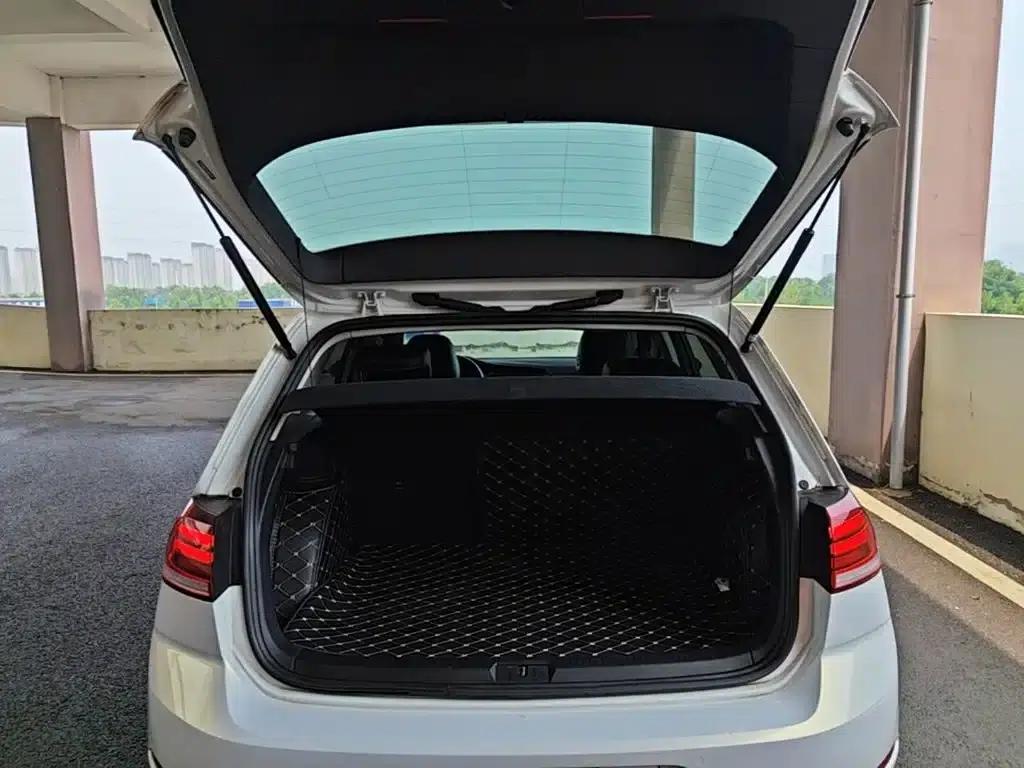 2020 Golf EV — миниатюра 19