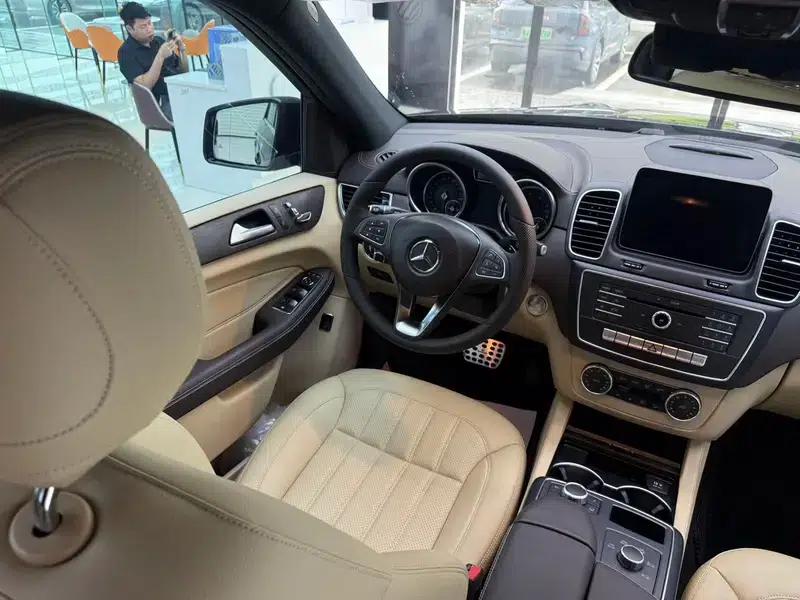 Mercedes-Benz GLE (Imported) 2017 GLE 320 4MATIC Dynamic — миниатюра 17