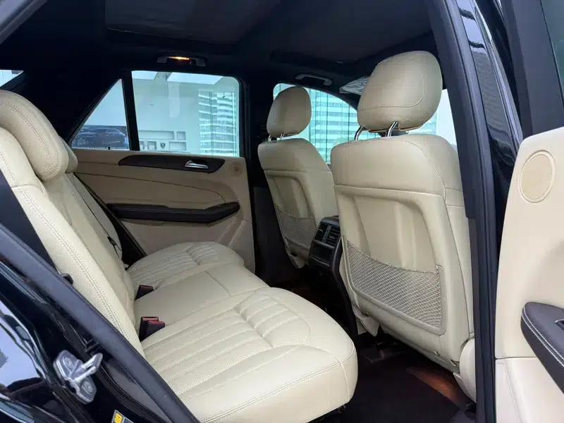 Mercedes-Benz GLE (Imported) 2017 GLE 320 4MATIC Dynamic — миниатюра 20